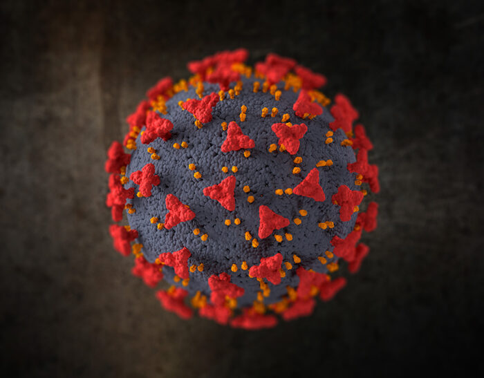 SARS COV2, le mutazioni del virus, la forza del pensiero laterale e la comunicazione nell’emergenza