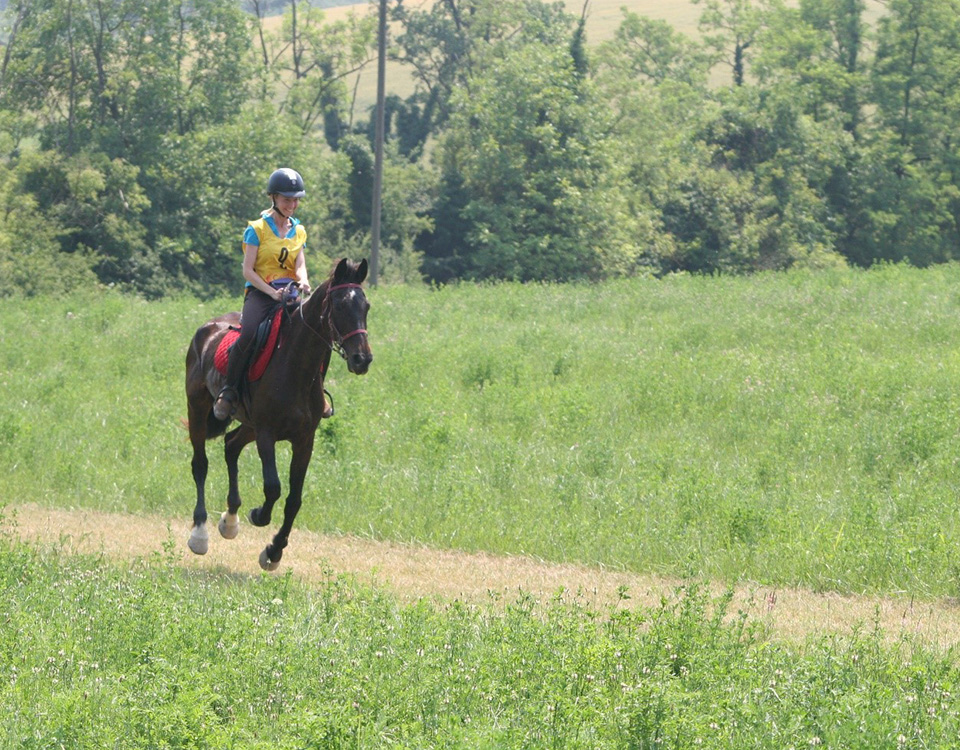 Equitazione Sicurezza capbelt in PILE TRACOLLA BORSA Cavallo Salto la formazione della concorrenza 